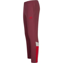 A.C. Milan PUMA ftblARCHIVE Hombre Pantalones deportivos 774035-05