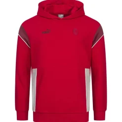 A.C. Milan PUMA ftblARCHIVO Hombre Sudadera con capucha 774033-06