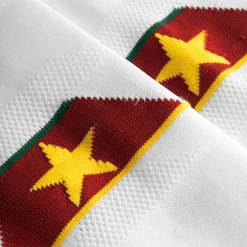 Camerún PUMA Medias de fútbol 752340-02