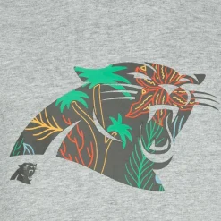 Carolina Panthers NFL Fanatics Hombre Camiseta 1108M-GRY-SB1-CPA