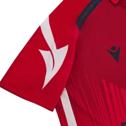 Dragones Irlanda macron Hombre Cricket Camiseta 58580566