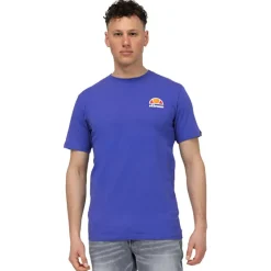 ellesse Ardsley Hombre Camiseta SBS23234-Azul