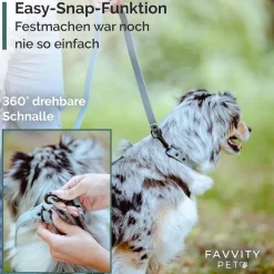 FAVVITY PET correa ajustable para perros menta