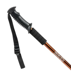 GOGLAND trekking Bastones de senderismo marrón