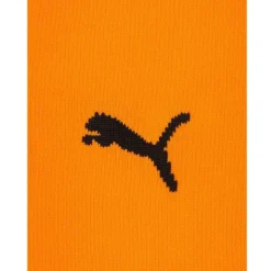 Grasshopper Club Zúrich PUMA Medias de fútbol 750313-02