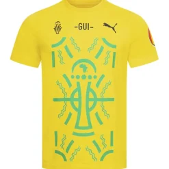 Guinea PUMA Hombre Camiseta 684569-01