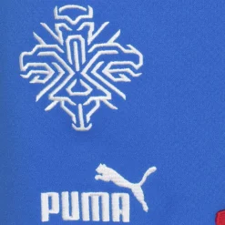 Islandia PUMA Hombre Pantalones cortos de primera equipación 766069-01