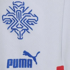 Islandia PUMA Hombre Pantalones cortos de segunda equipación 766069-02
