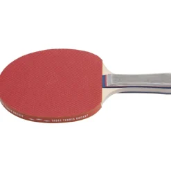 JELEX Palanga Set de 2 palas de tenis de mesa con red y 3 pelotas