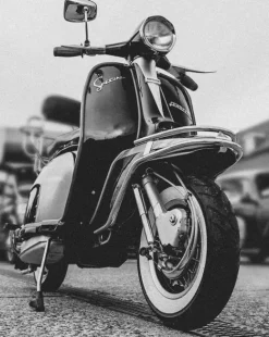 Lambretta Lichen Hombre Camiseta SS9819-LCNGRN/BLUGRP