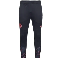 Manchester City PUMA Hombre Pantalones de chándal 772864-18