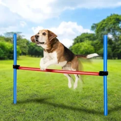 maxxpro Agilidad Spring Stick - Conjunto Agilidad para perros 47432