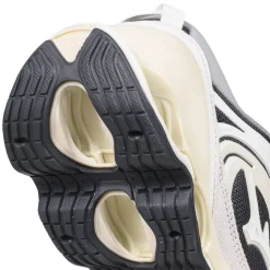 Mizuno Wave Prophecy 