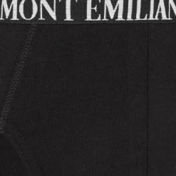 MONT EMILIAN 