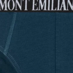 MONT EMILIAN 