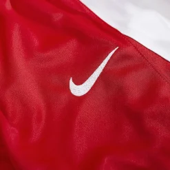 Nike Team Niño Pantalones cortos de baloncesto NT0202-657