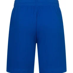 Olympique de Marsella PUMA Hombre Pro Pantalones cortos 767274-11