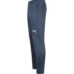 PSV Eindhoven PUMA Hombre Pantalones de chándal 772686-04