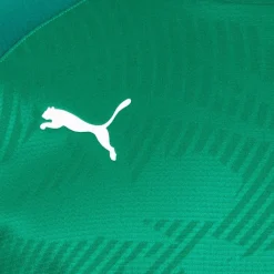 PUMA CUP Sweat Core Hombre Sudadera de entrenamiento 656021-05