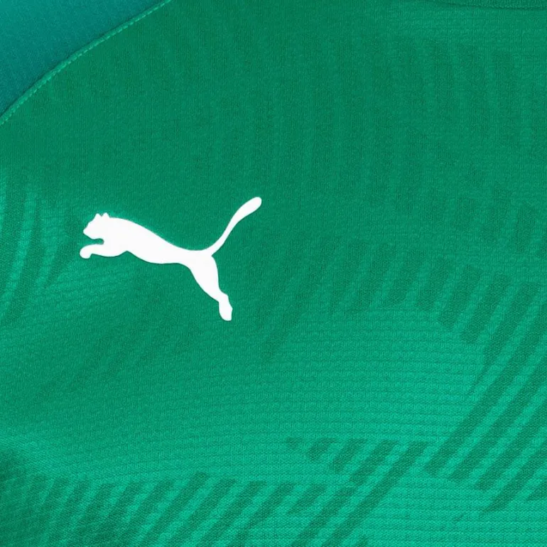 PUMA CUP Sweat Core Hombre Sudadera de entrenamiento 656021-05