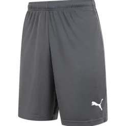 PUMA LIGA Training Core Hombre Pantalones cortos 655664-11