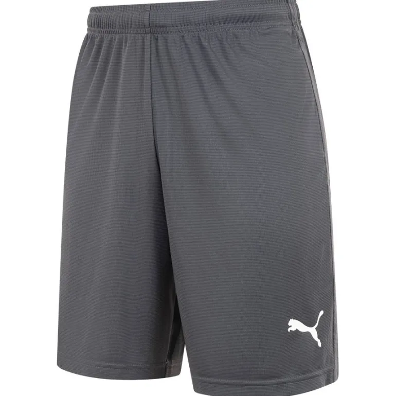 PUMA LIGA Training Core Hombre Pantalones cortos 655664-11
