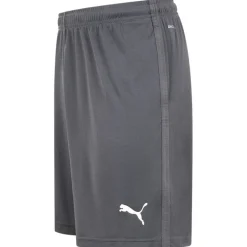 PUMA LIGA Training Core Hombre Pantalones cortos 655664-11