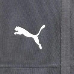 PUMA LIGA Training Core Hombre Pantalones cortos 655664-11