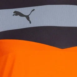 PUMA Stadium GK Hombre Camiseta de portero 702089-36