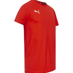 PUMA teamGOAL Casuals Hombre Camiseta 656578-01