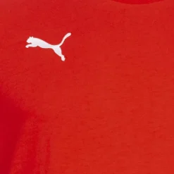 PUMA teamGOAL Casuals Hombre Camiseta 656578-01