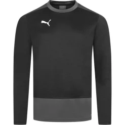 PUMA teamGOAL Training Sweat Hombre Jersey 656478-03