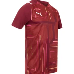 PUMA teamULTIMATE Jersey Hombre Camiseta 704389-09
