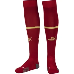 Serbia PUMA Medias de fútbol 765772-01