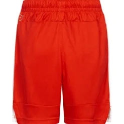 Suiza PUMA Niño Pantalones cortos 748749-01