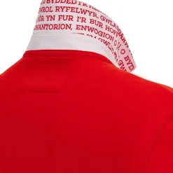 Wales WRU macron Rugby Hombre Camiseta de manga larga 58569050